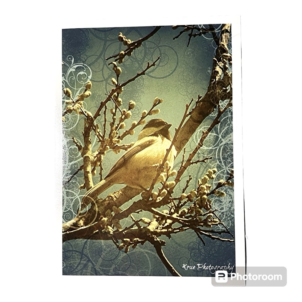 5 x 7 Original Photo Print of “Birdie”